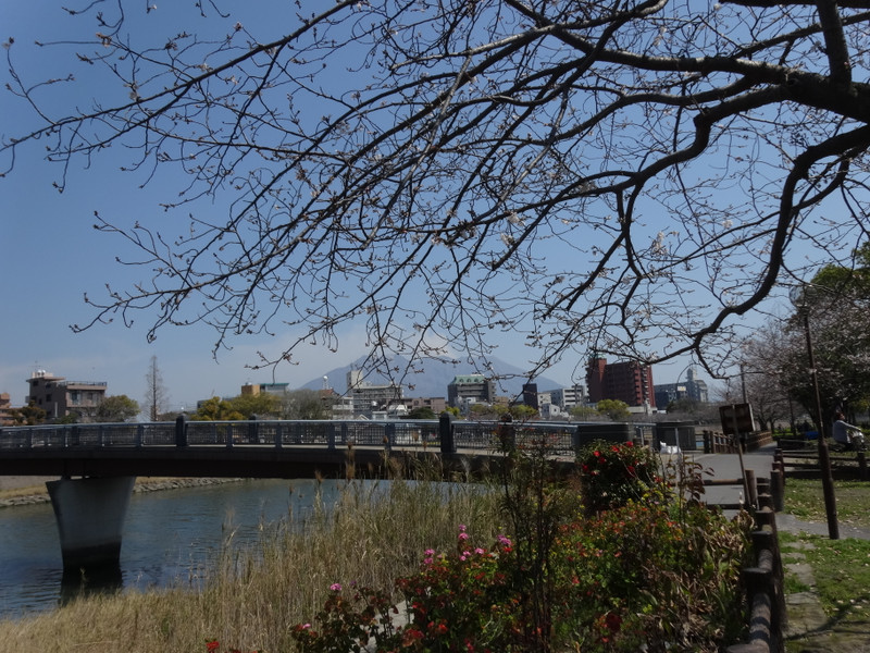 Dsc04488
