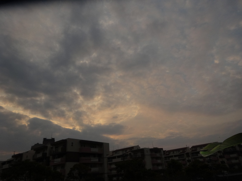 Dsc04524 Dsc04524
