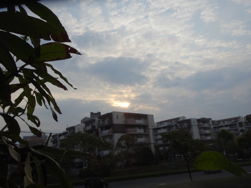 Dsc04527