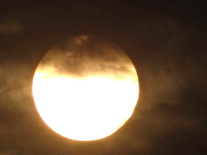 Dsc04528 Dsc04528