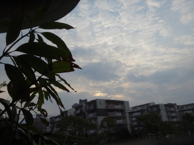 Dsc04530 Dsc04530