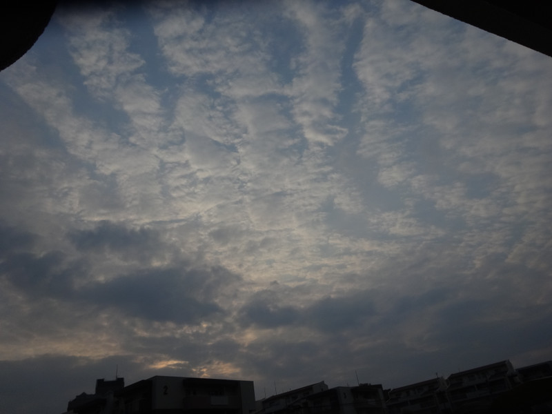 Dsc04532 Dsc04532