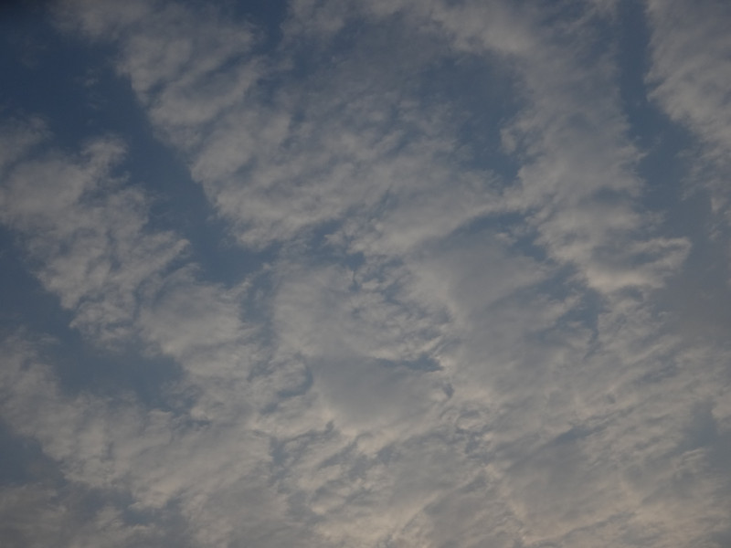 Dsc04533 Dsc04533