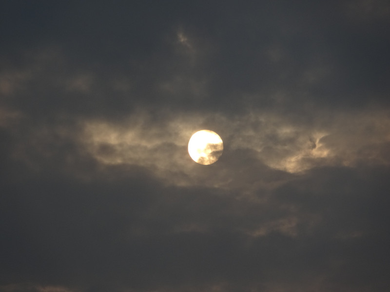 Dsc04534 Dsc04534