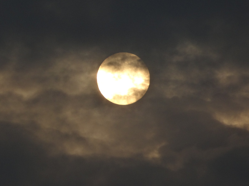 Dsc04535 Dsc04535