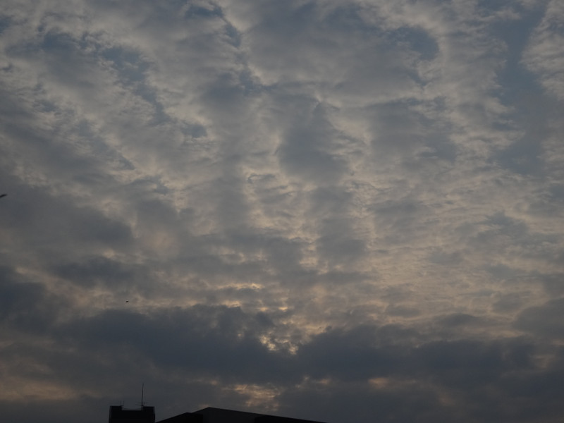 Dsc04538 Dsc04538