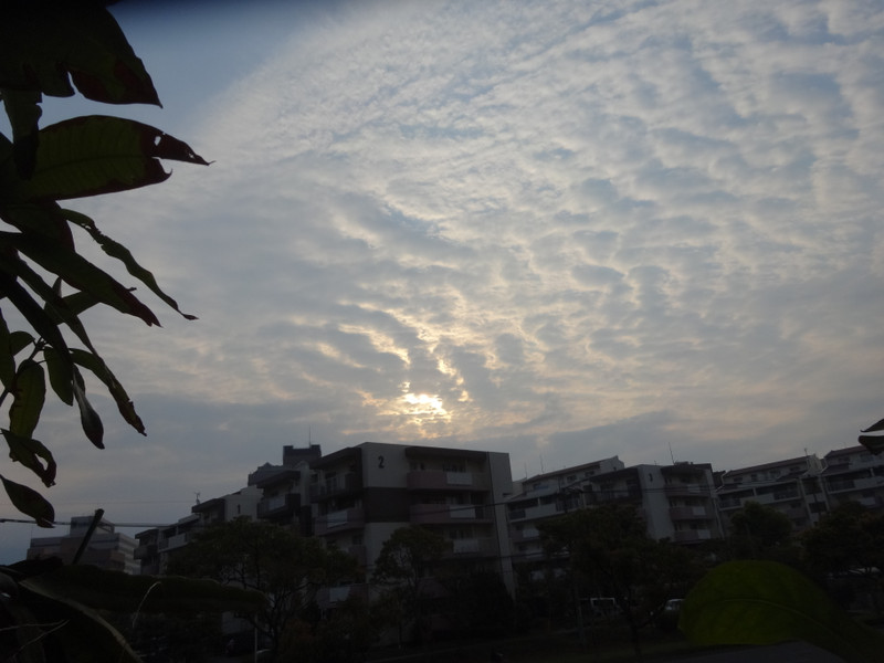 Dsc04539 Dsc04539