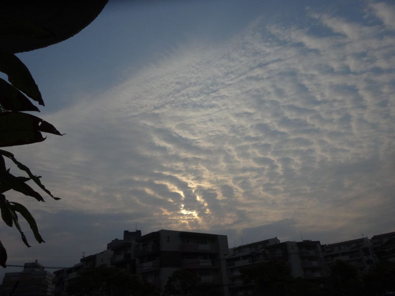 Dsc04541 Dsc04541