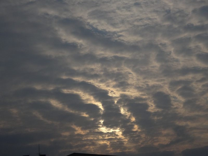 Dsc04542 Dsc04542