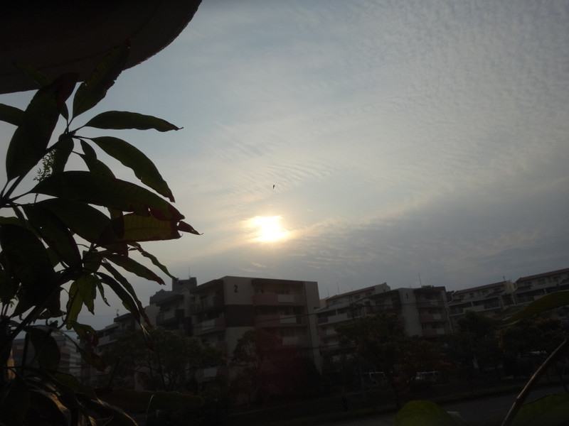 Dsc04544 Dsc04544