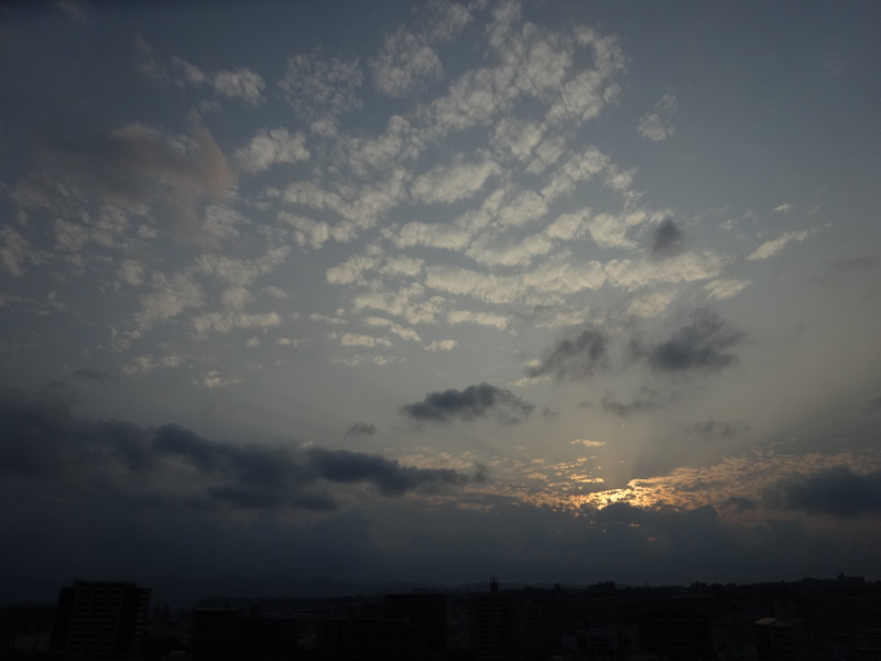 Dsc04592