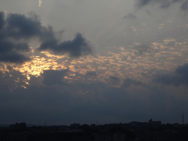 Dsc04600