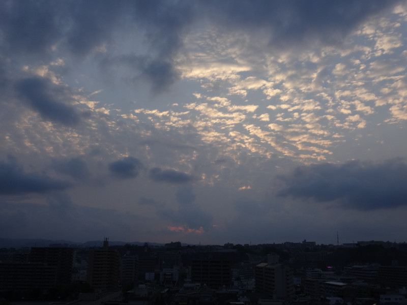 Dsc04615