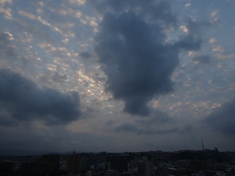 Dsc04642