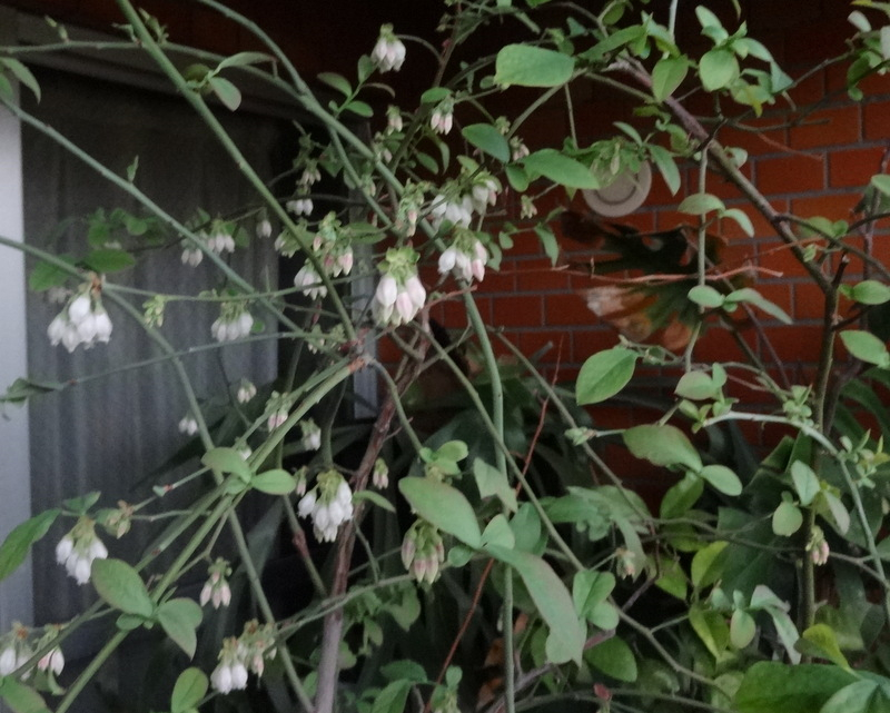 1dsc04672