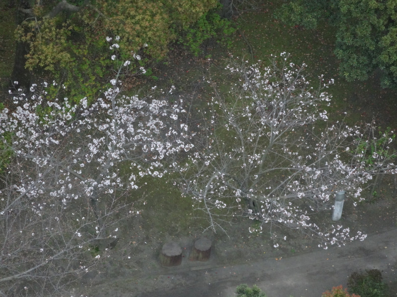 Dsc04691