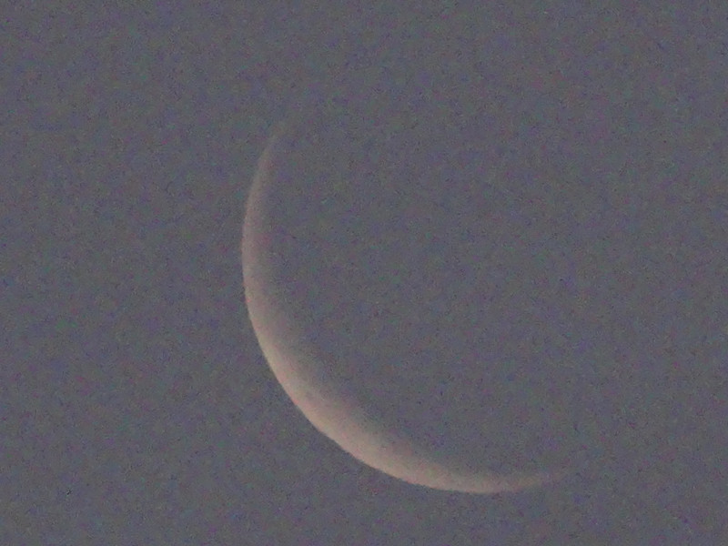 Dsc04838