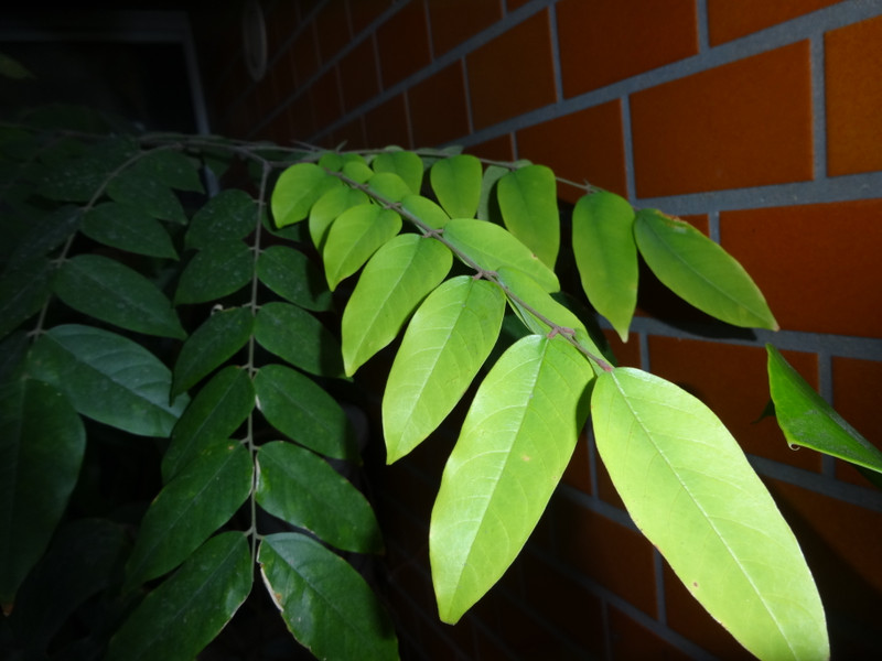 Dsc04910_2