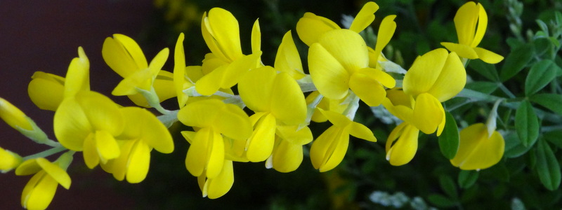 1dsc04986