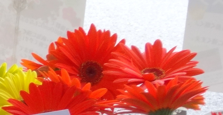 1dsc04990002