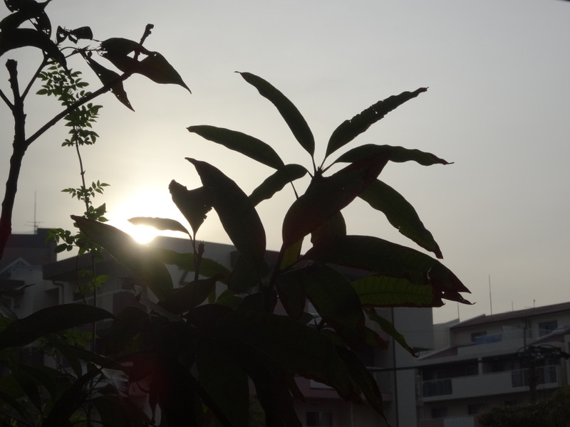 Dsc05010