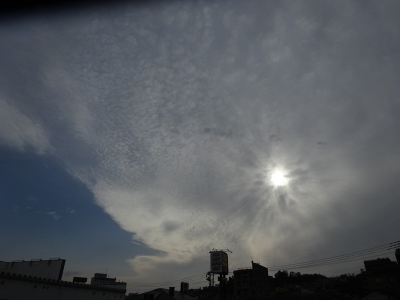 Dsc05039