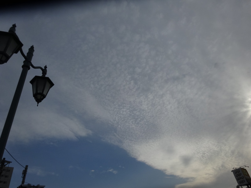 Dsc05044