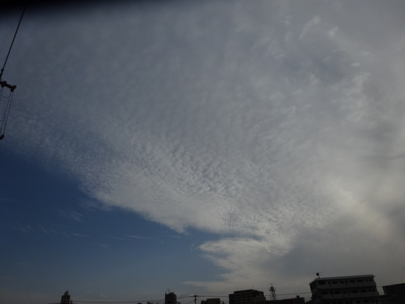 Dsc05046