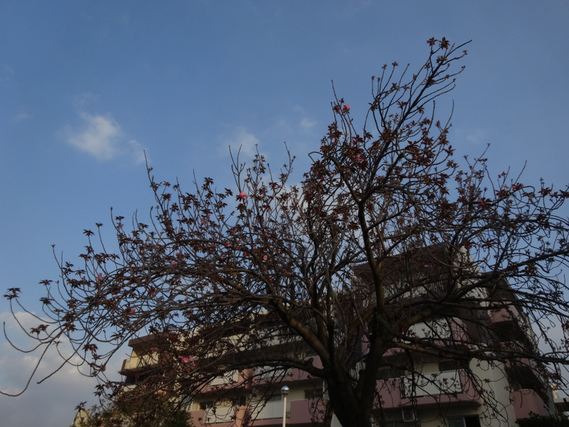 Dsc05146