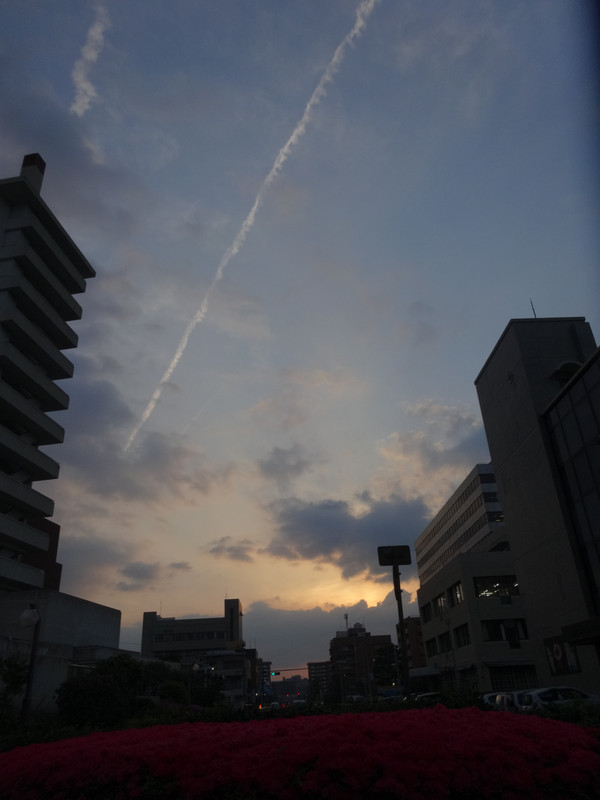 Dsc05229