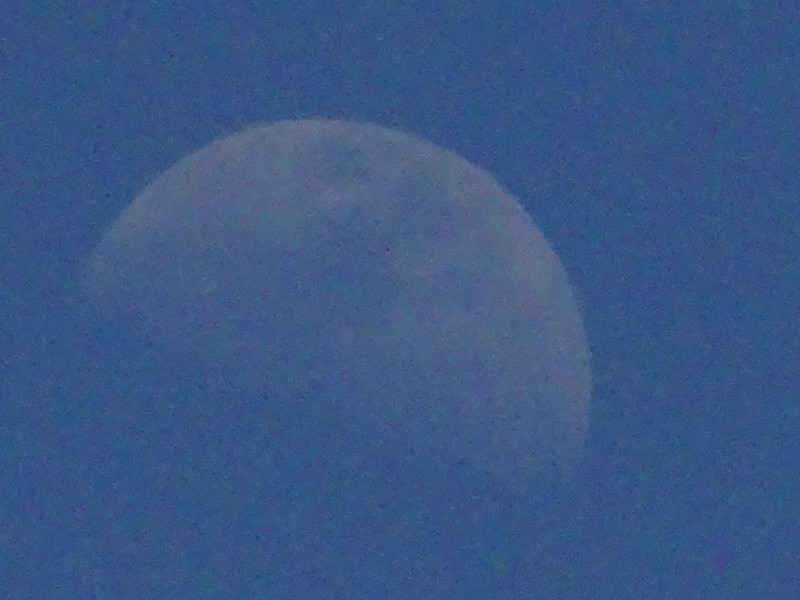 Dsc09558