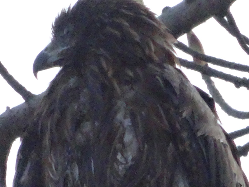 Dsc09678