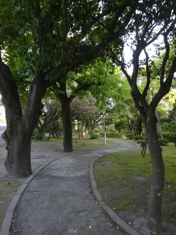 Dsc09798