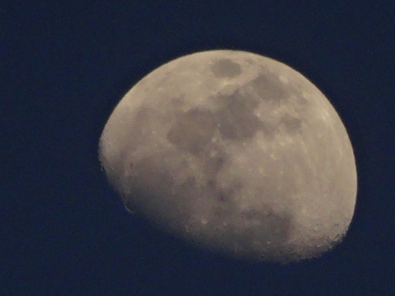 Dsc00010
