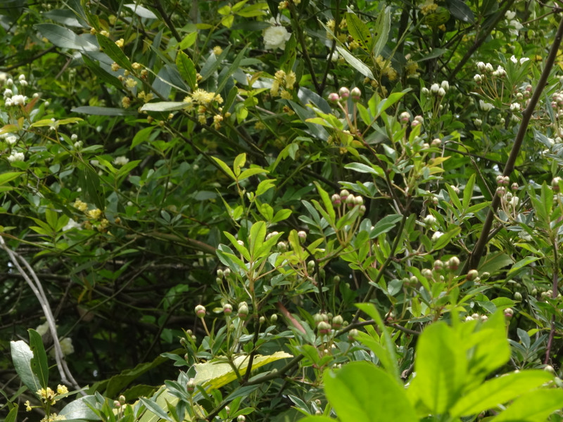 Dsc09871