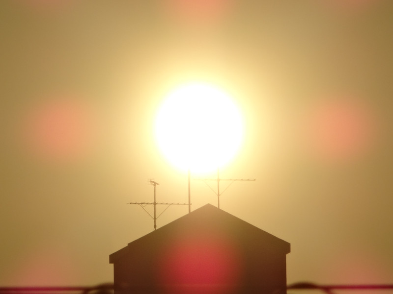 Dsc09905