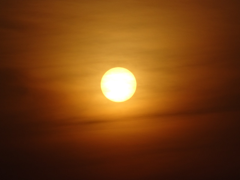 Dsc09938