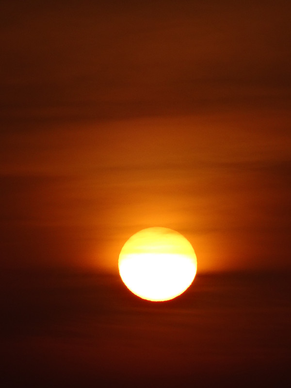 Dsc09963