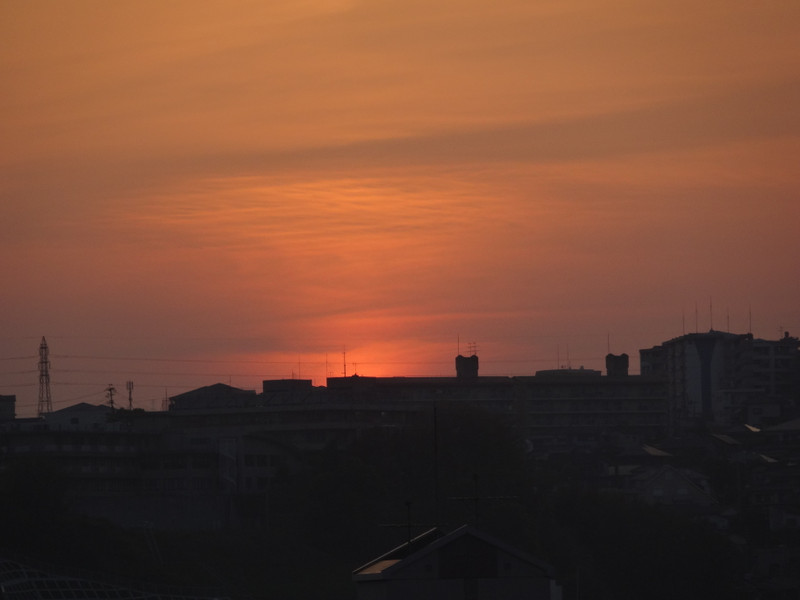 Dsc09995