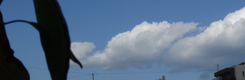 1dsc00144