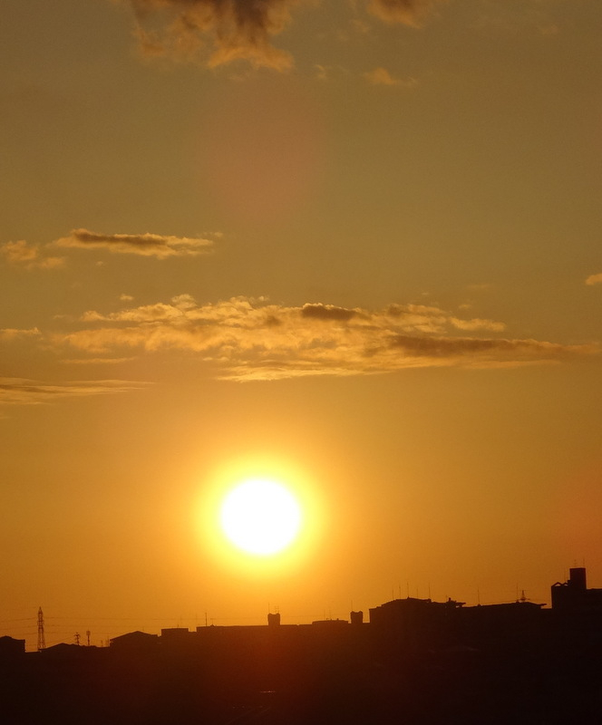 1dsc00216