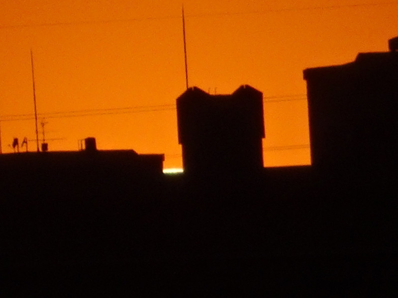 Dsc00244