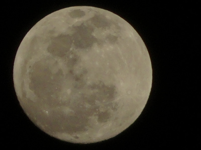 Dsc00280