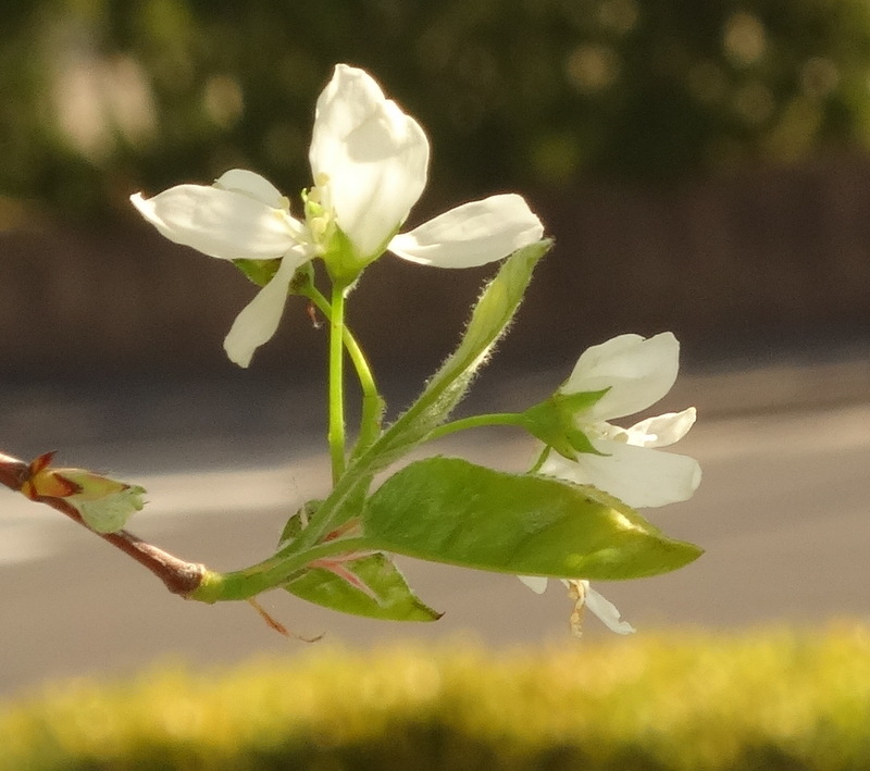 1dsc00297