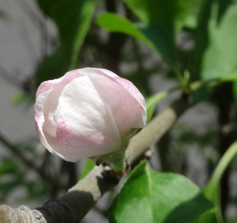 1dsc00308