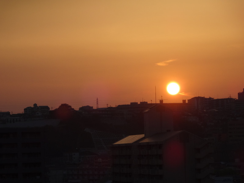 Dsc00339