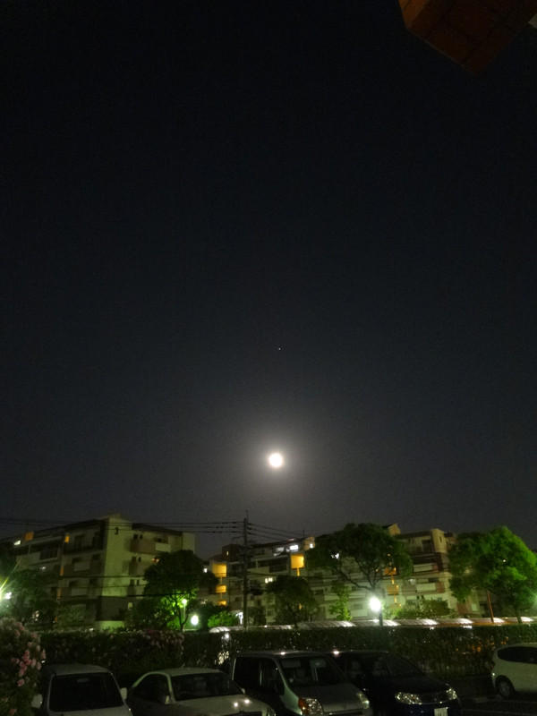 Dsc00342