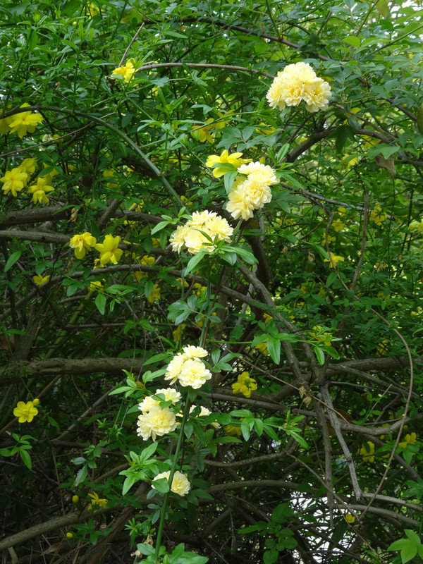 Dsc09079_2