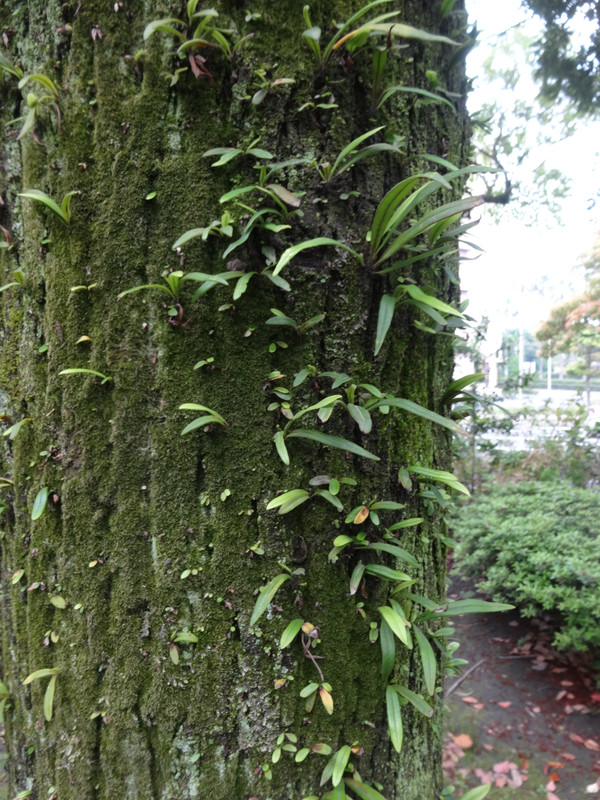 Dsc09292