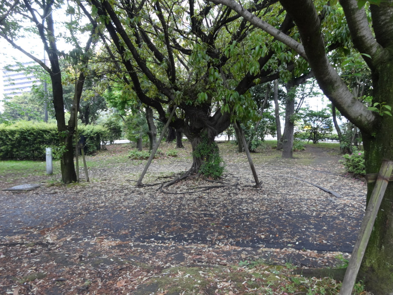 Dsc09302